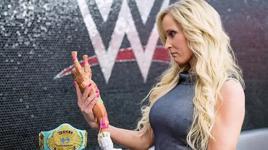 dana warrior.fw