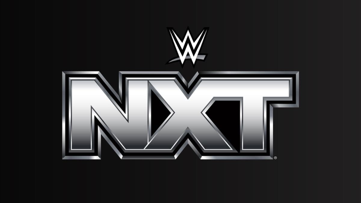 WWE NXT logo which is black and silver 