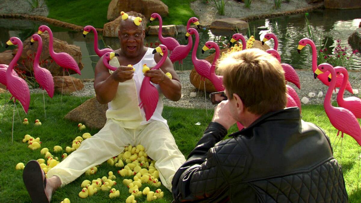 Tony Atlas sits on a patch of grass holding plastic pink flamingos and rubber ducks as Roddy Piper films him with a handheld camcorder