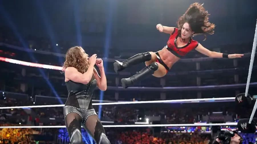 https://cultaholic.com/files/images/81eec8705590babd8dbcafdc53451d64ad3a7a58-brie-bella-stephanie-mcmahon-summerslam-2014.jpg