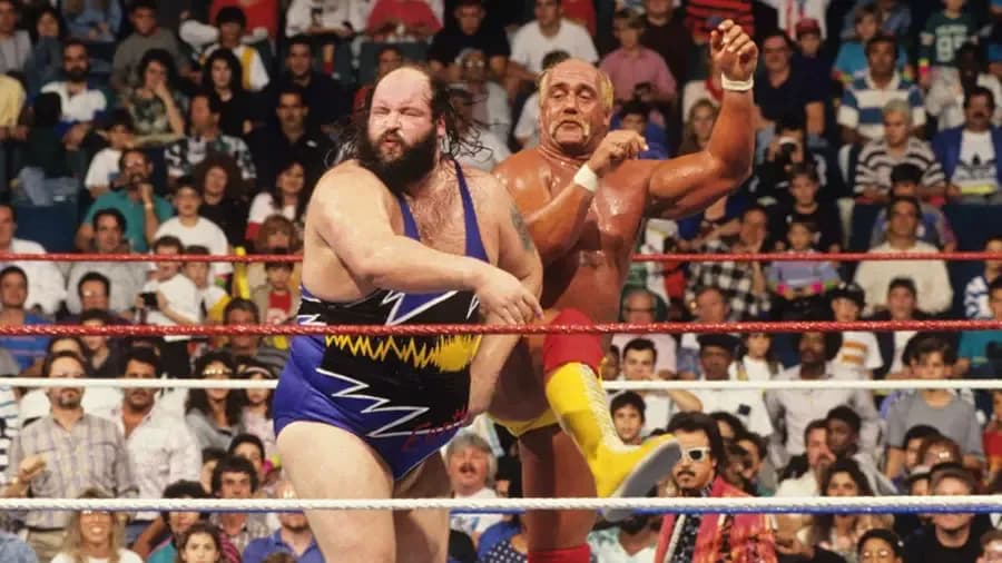 https://cultaholic.com/files/images/889945e1ec7232b5bfd7ebd78850e23382c201c5-Royal-Rumble-1991.jpg
