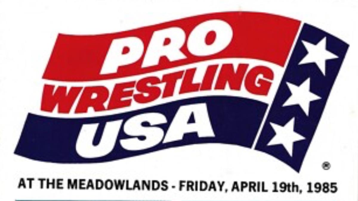 Pro Wrestling USA logo