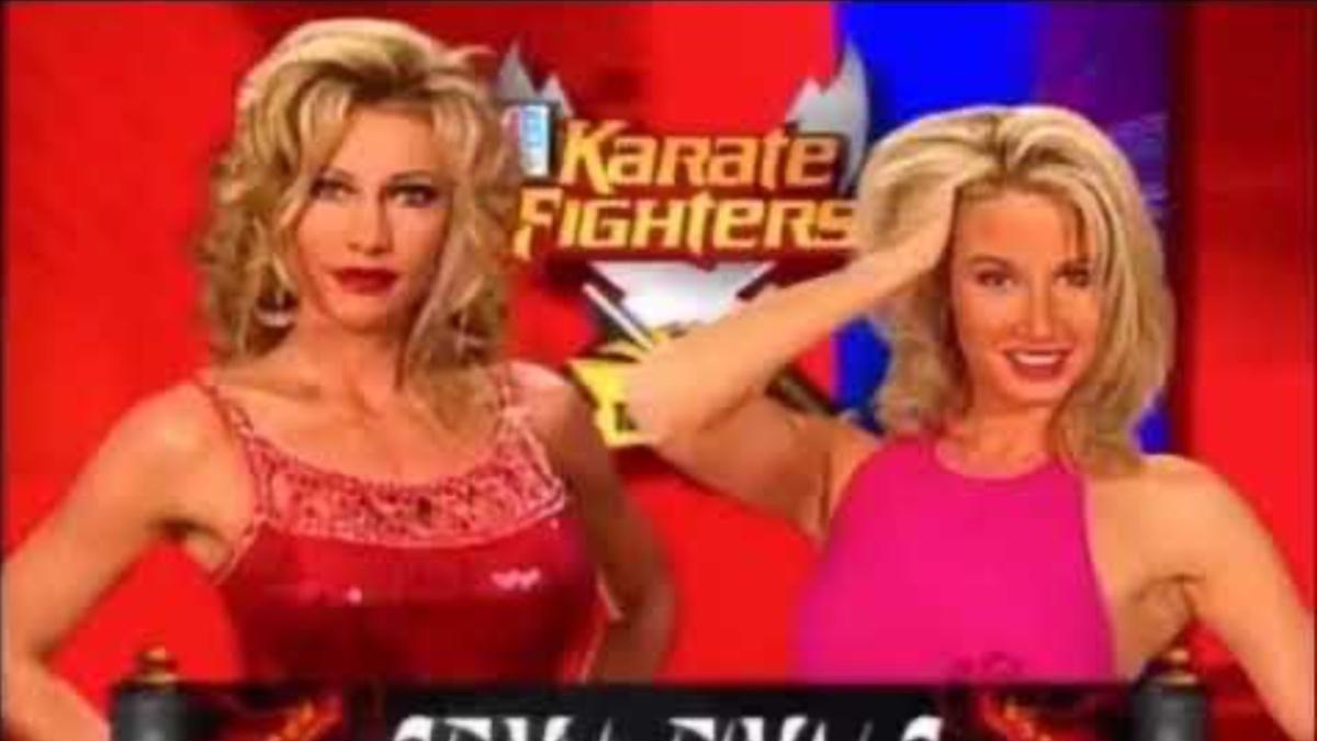 Sunny vs. Sable Karate Fighters graphic